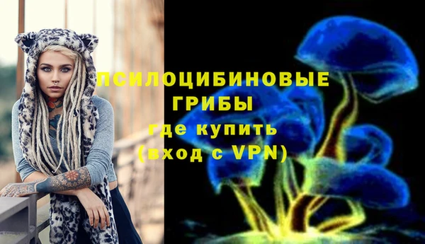 apvp Нефтекумск