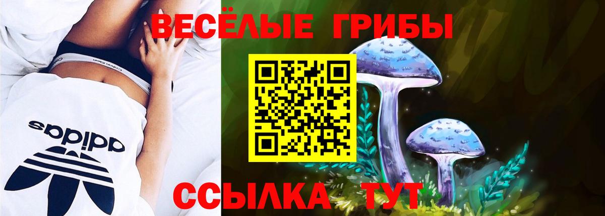 Галлюциногенные грибы мухоморы  Вход с VPN  Уварово 